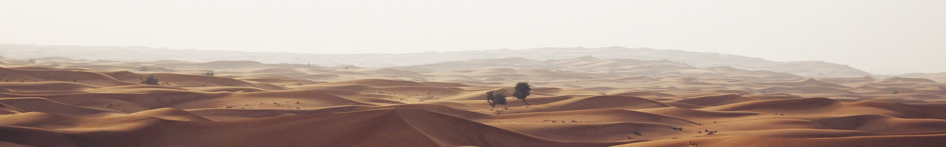 Żе豸޹˾